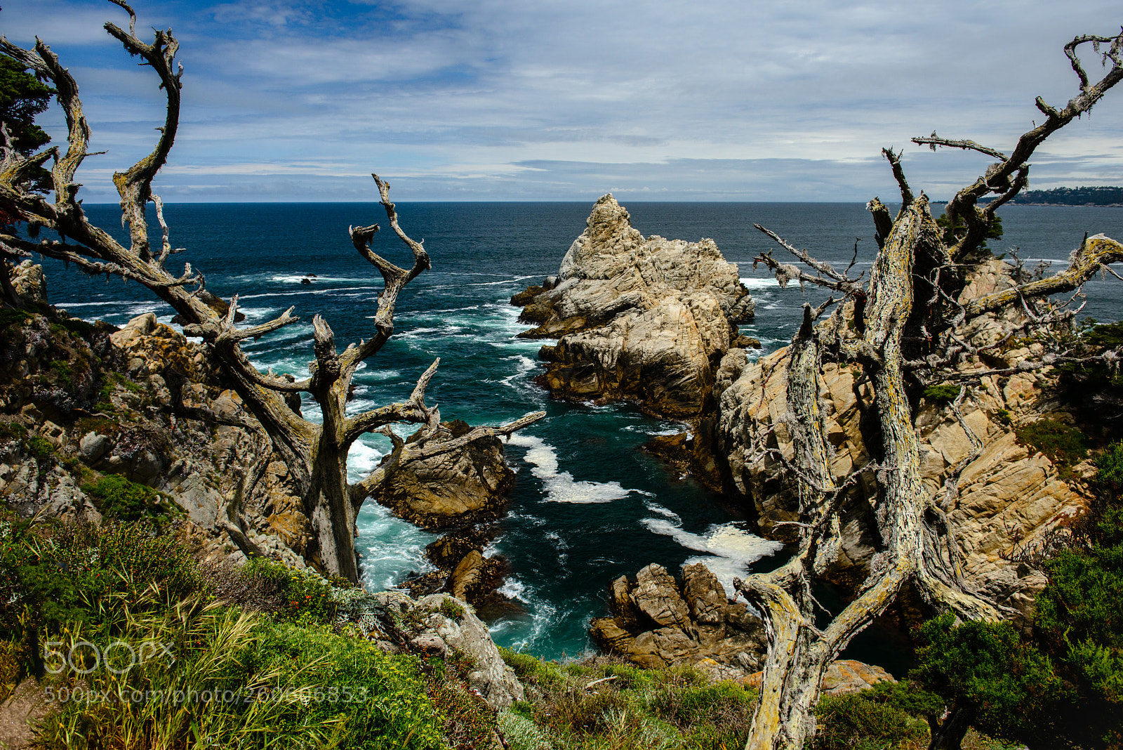 Nikon D800 sample photo. Point lobos state park photography