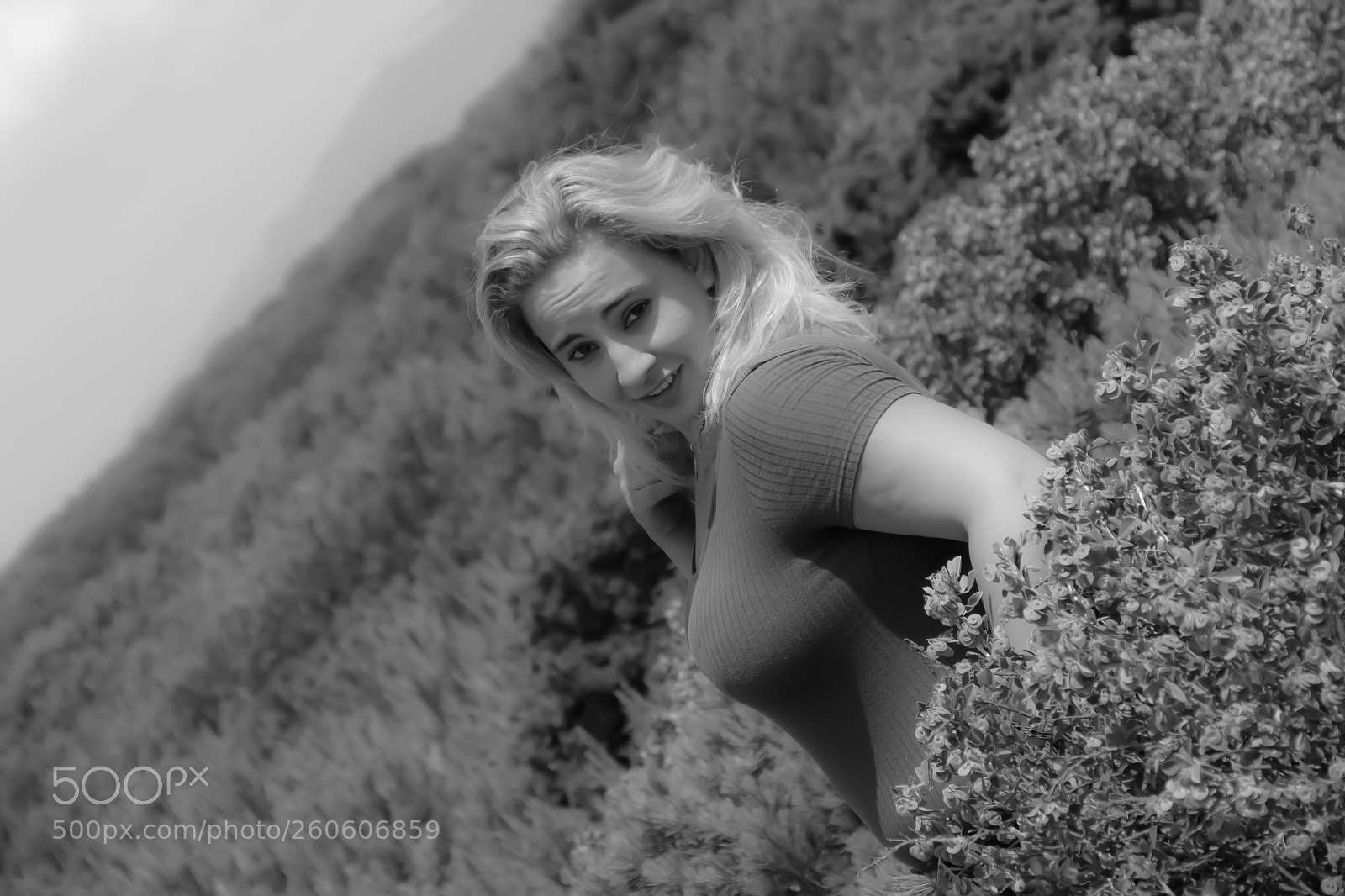 Nikon D5300 sample photo. Tiffany photography