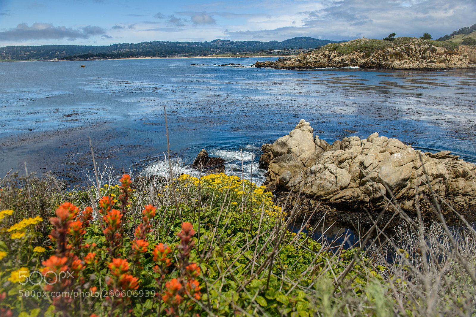 Nikon D800 sample photo. Point lobos state park photography
