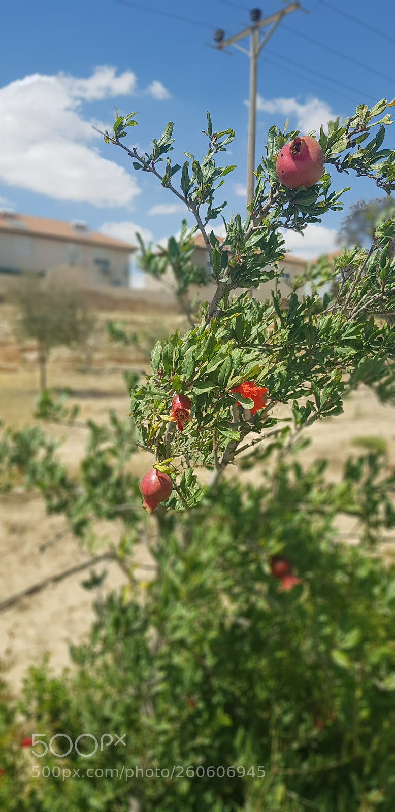 Samsung Galaxy S8+ sample photo. Untitled photography