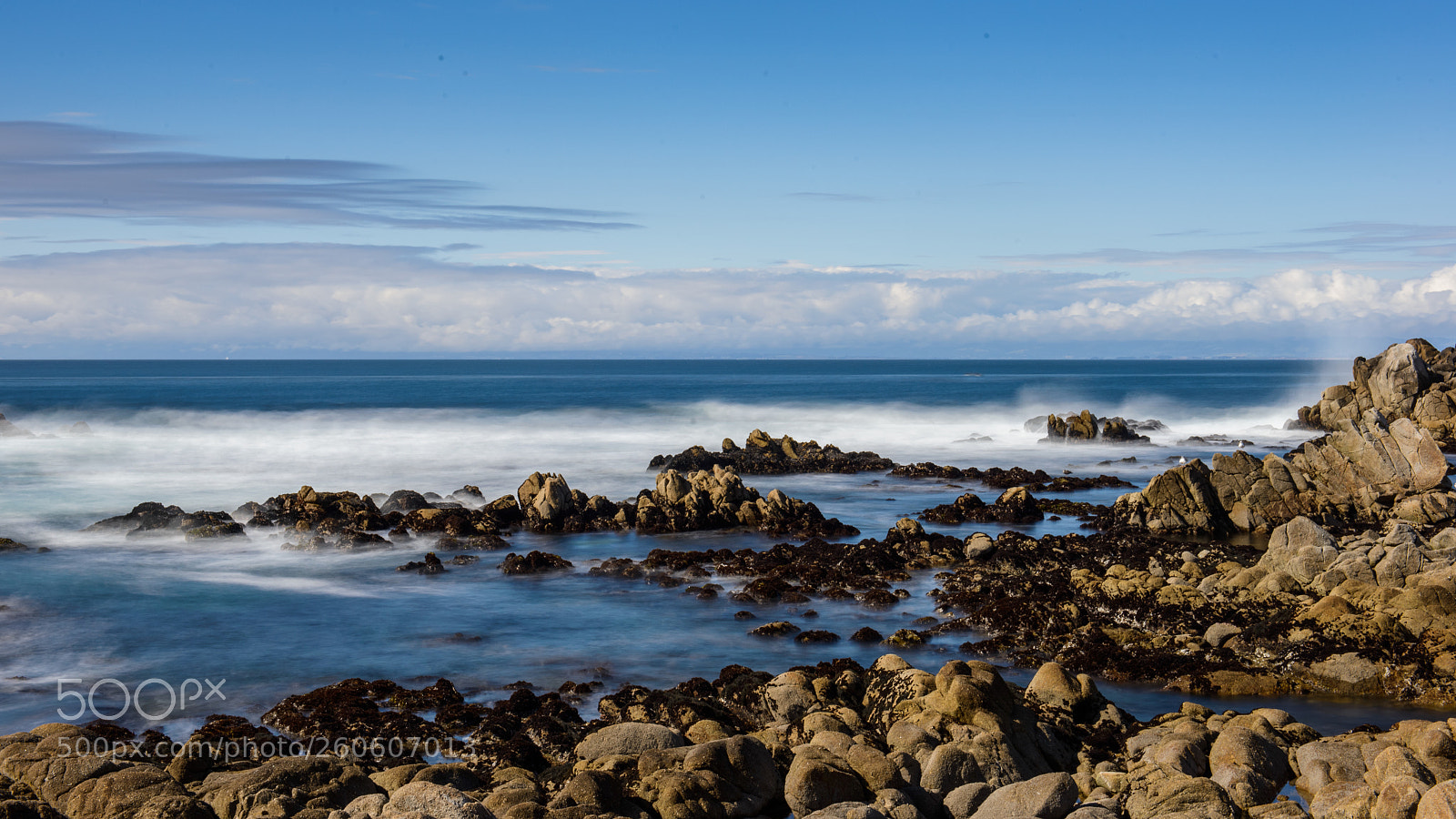 Nikon D800 sample photo. Point lobos state park photography