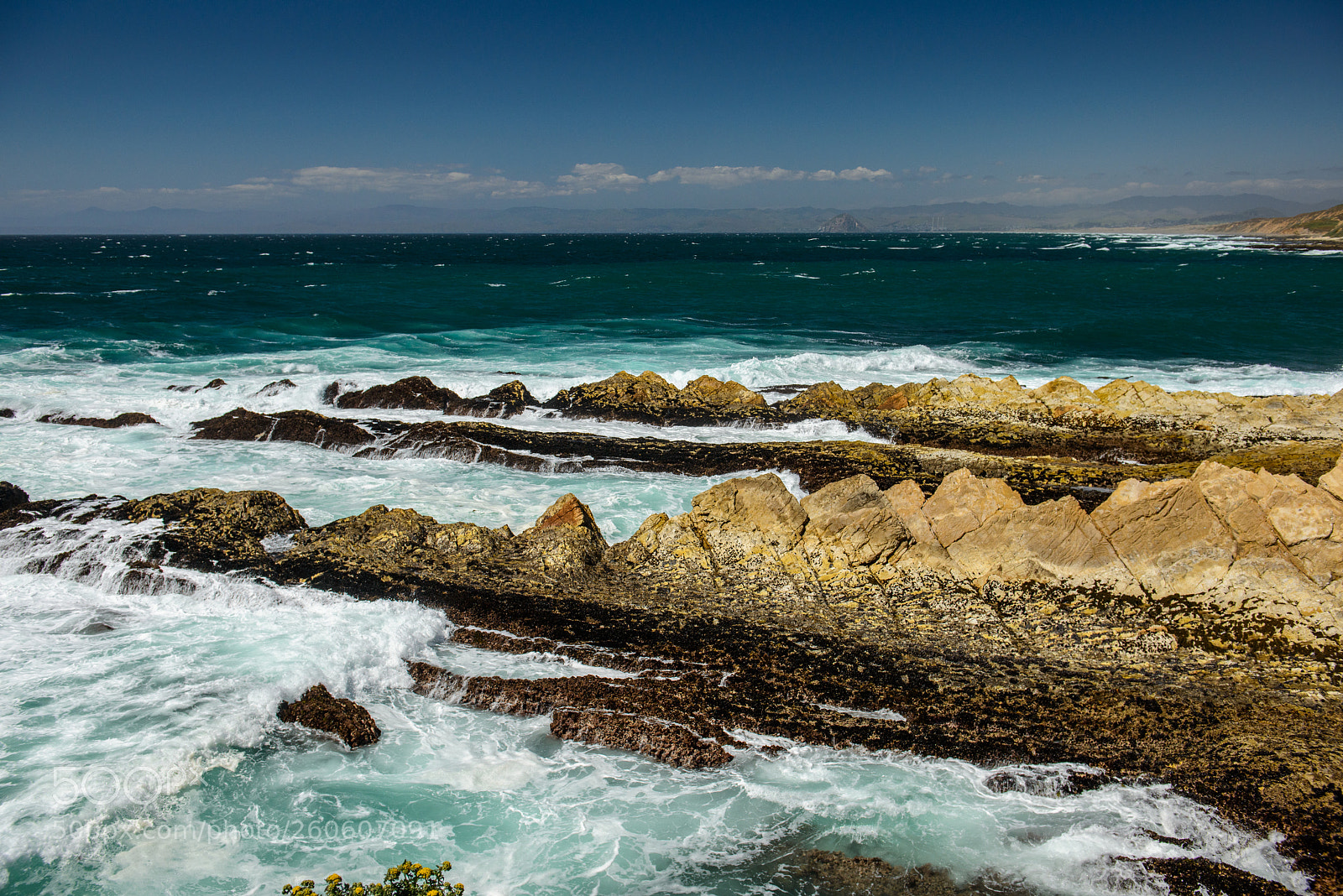 Nikon D800 sample photo. El chorro regional park photography