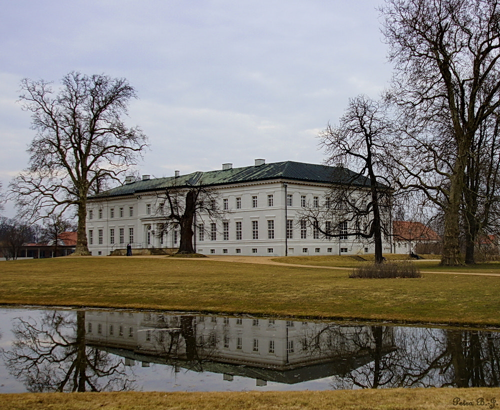 Castle Hardenberg