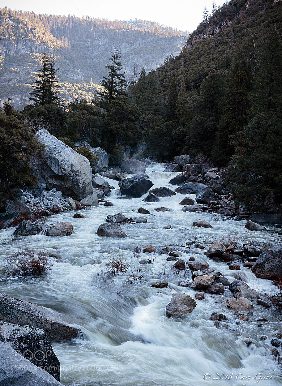 Canon EOS 5DS R sample photo. Merced river photography