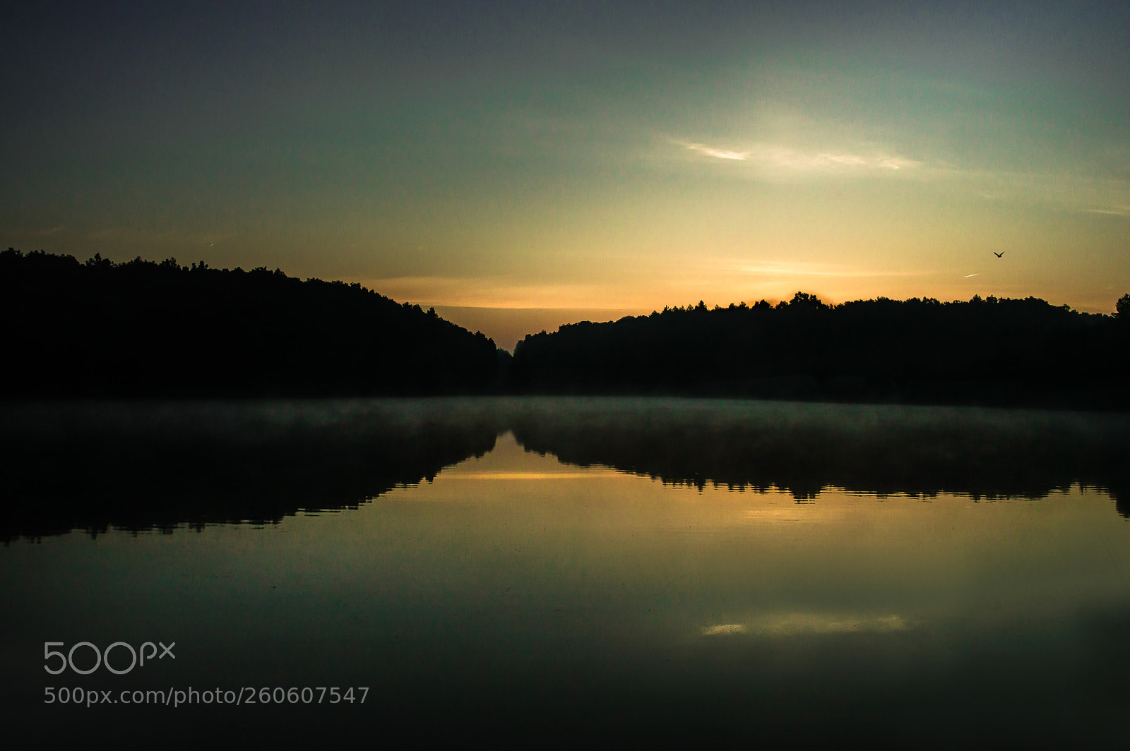 Nikon D3200 sample photo. In the morning photography