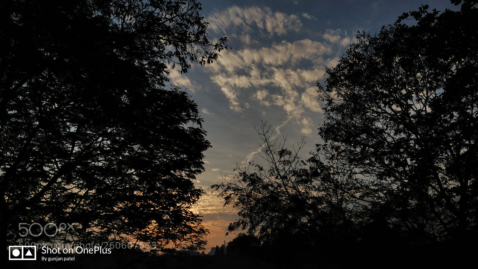 OnePlus 5 sample photo. Untitled photography