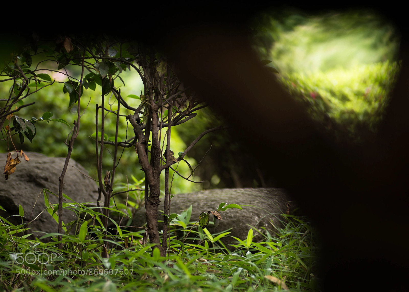 Canon EOS 70D sample photo. An entrance to different photography