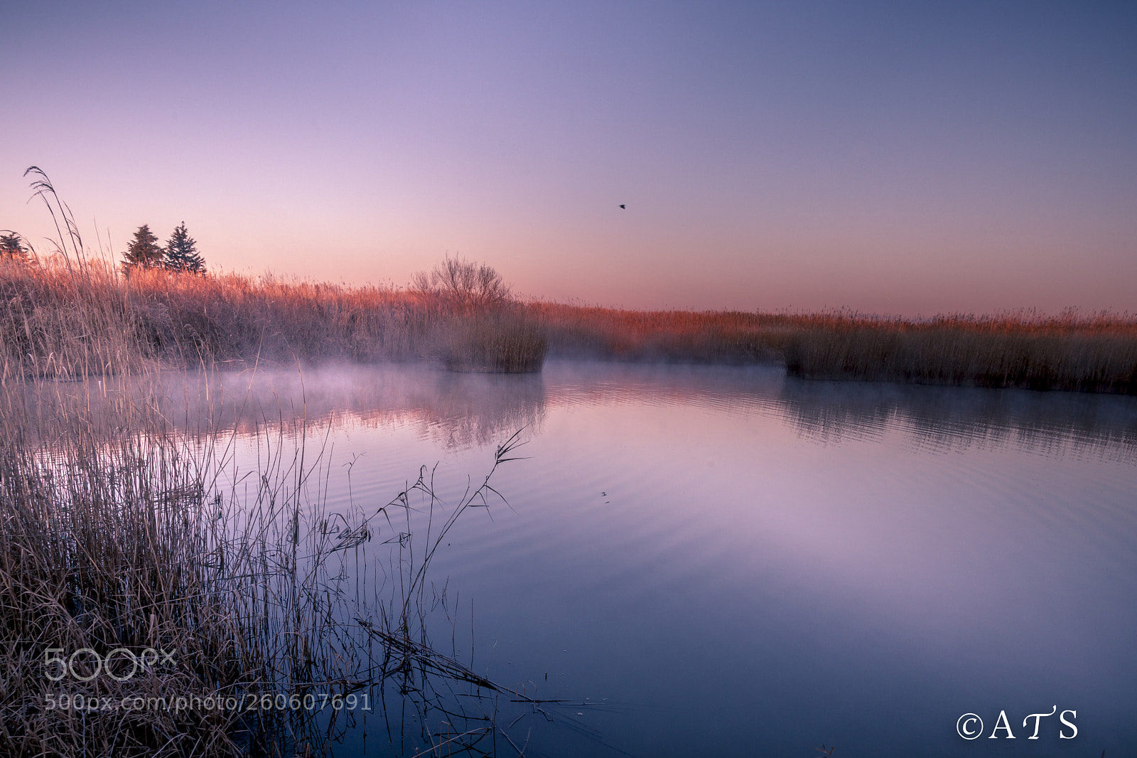 Canon EOS 5D Mark II sample photo. Magic hour photography
