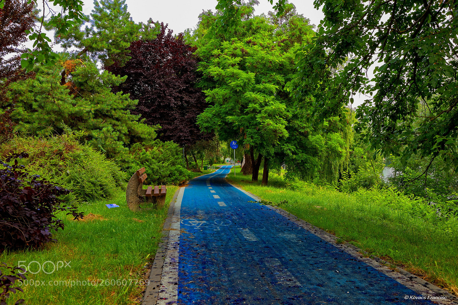 Canon EOS 5D Mark II sample photo. Silence photography