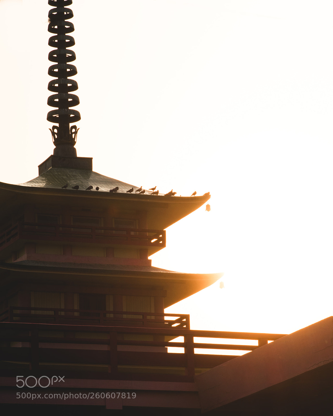 Nikon D3300 sample photo. Sun rays through the photography