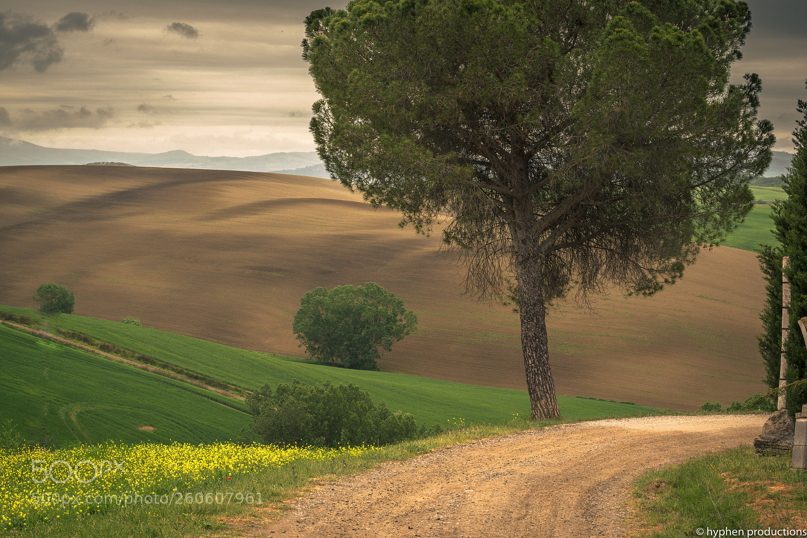 Nikon D750 sample photo. Val d'orcia photography