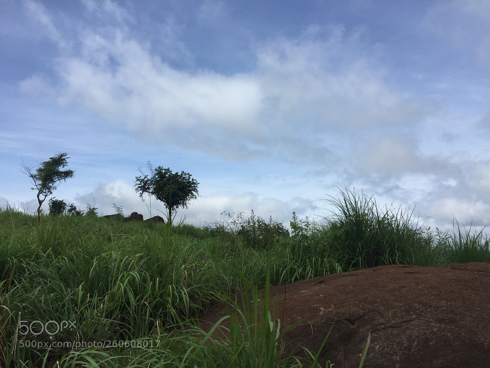 Apple iPhone 6 sample photo. Untitled photography