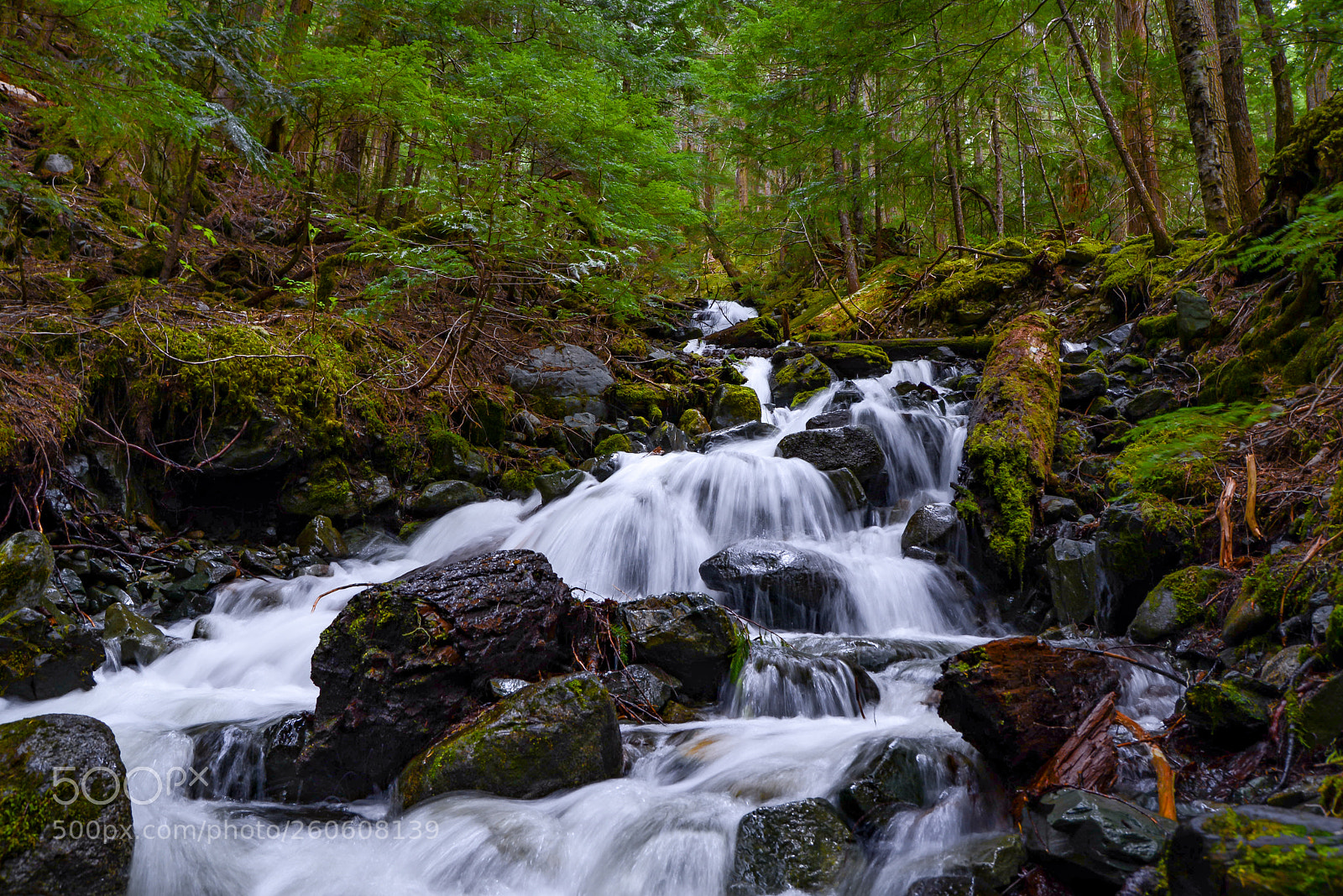 Nikon D600 sample photo. Waterfall photography