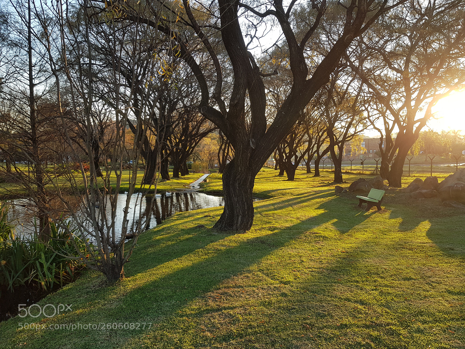 Samsung Galaxy S8 sample photo. Walk in the park photography
