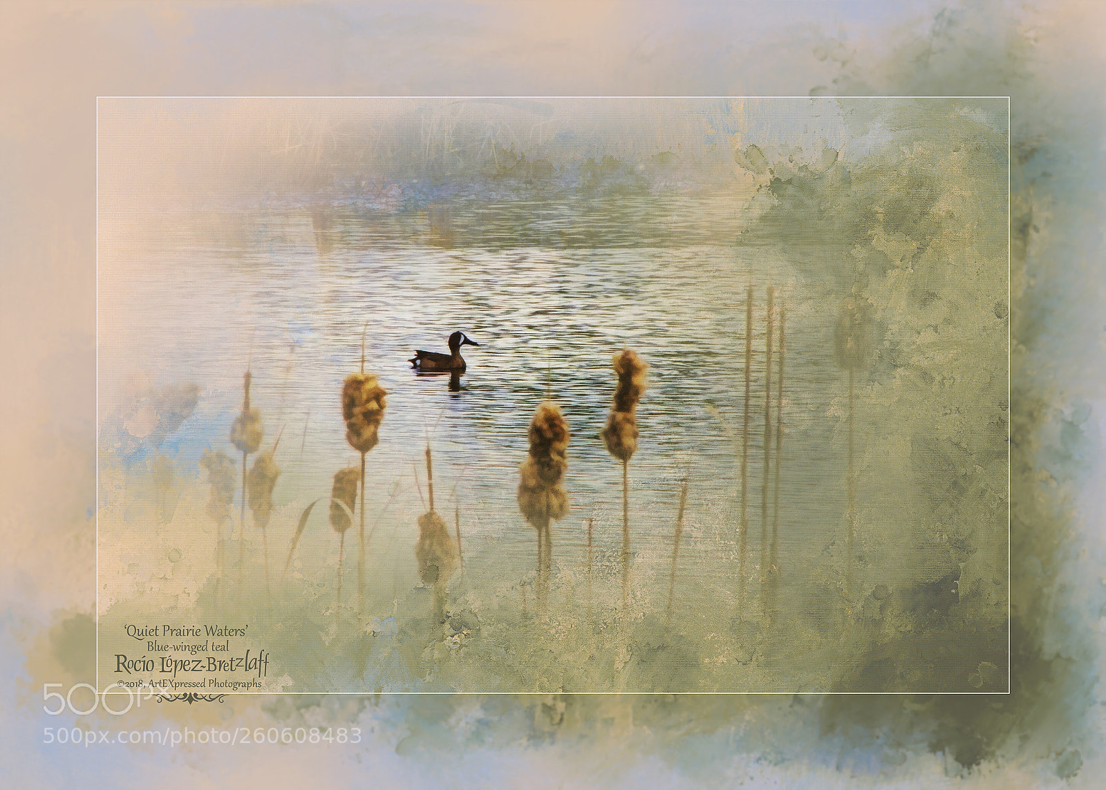 Canon EOS 60D sample photo. 'quiet prairie waters' photography