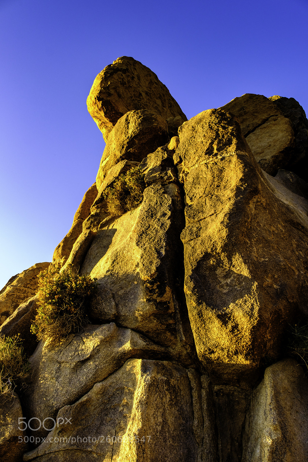 Fujifilm X-T2 sample photo. Joshua tree iv photography