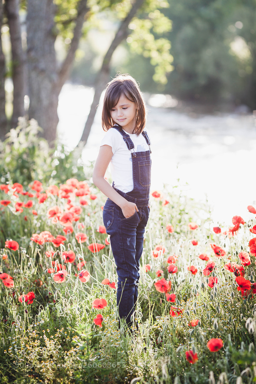 Canon EOS 5D Mark II sample photo. Lyne coquelicots photography