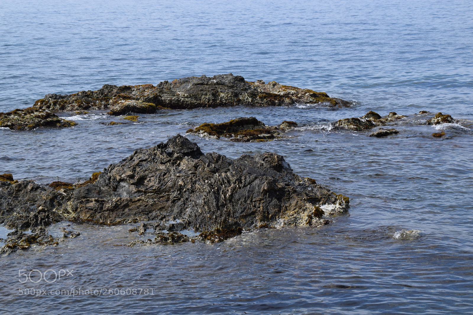 Nikon D5300 sample photo. Le gaou , la brusc photography