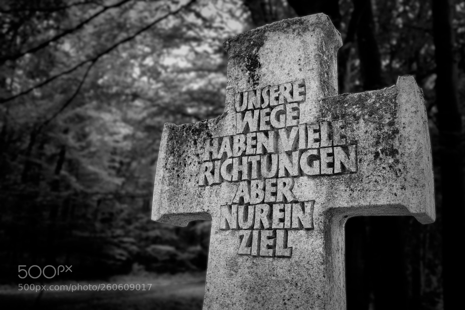Canon EOS 700D (EOS Rebel T5i / EOS Kiss X7i) sample photo. Unsere wege ... photography