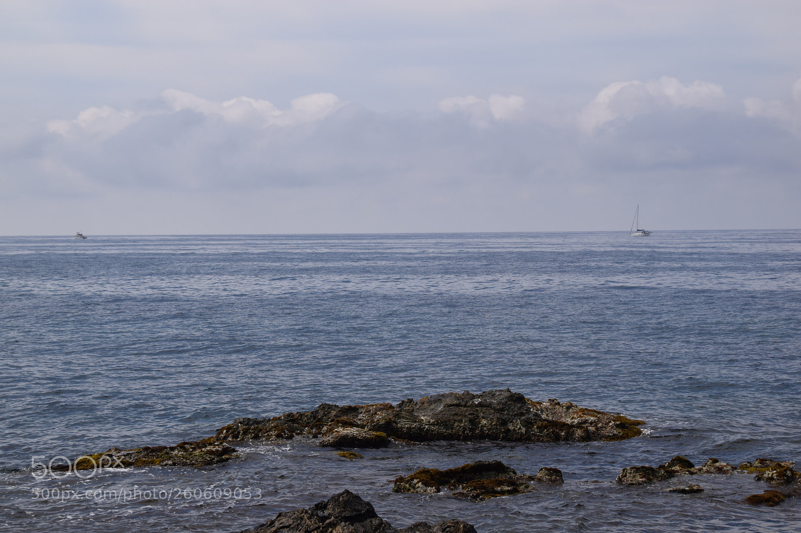 Nikon D5300 sample photo. Le gaou , la brusc photography