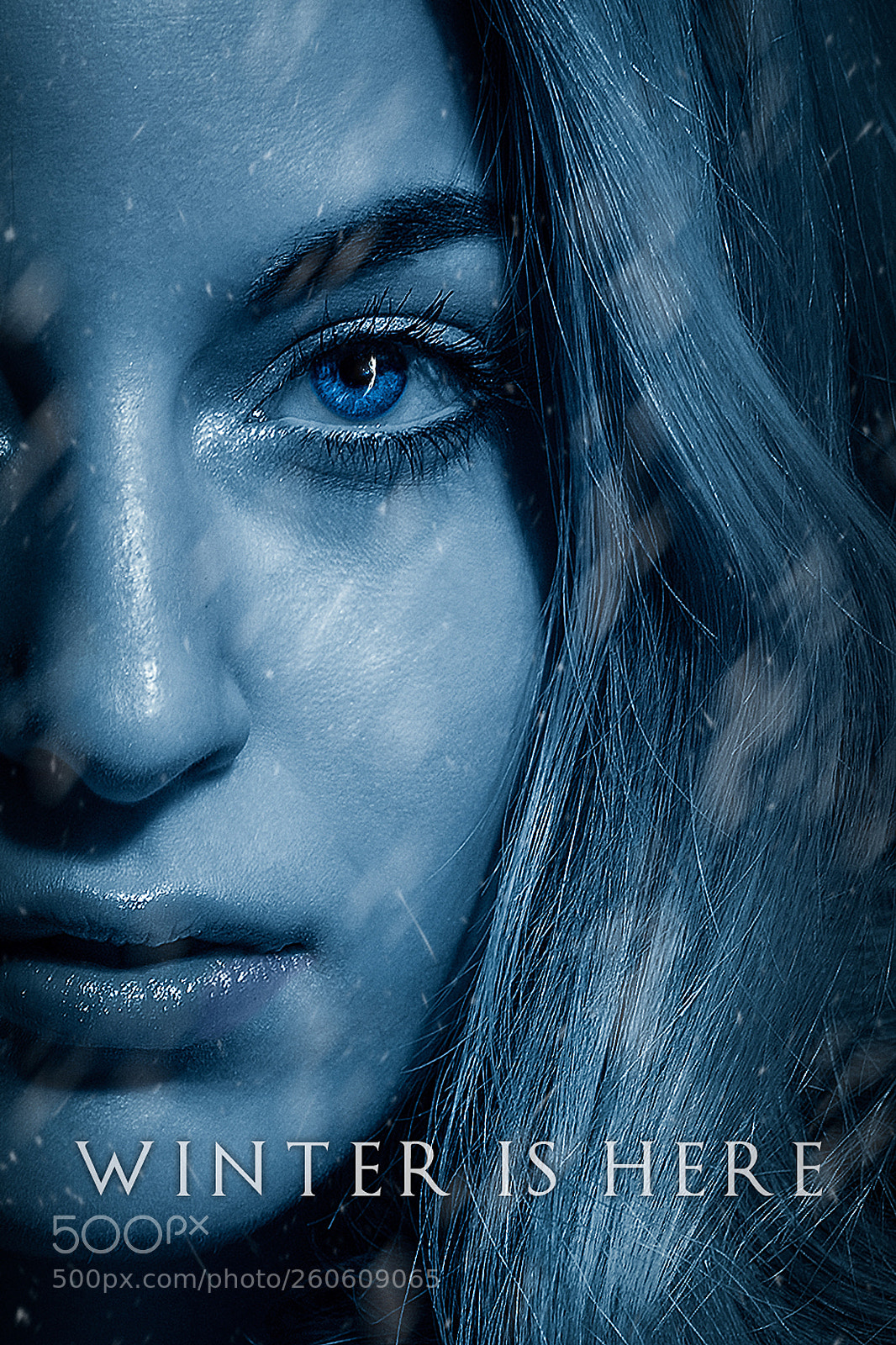 Canon EOS 6D sample photo. Winter is here game photography