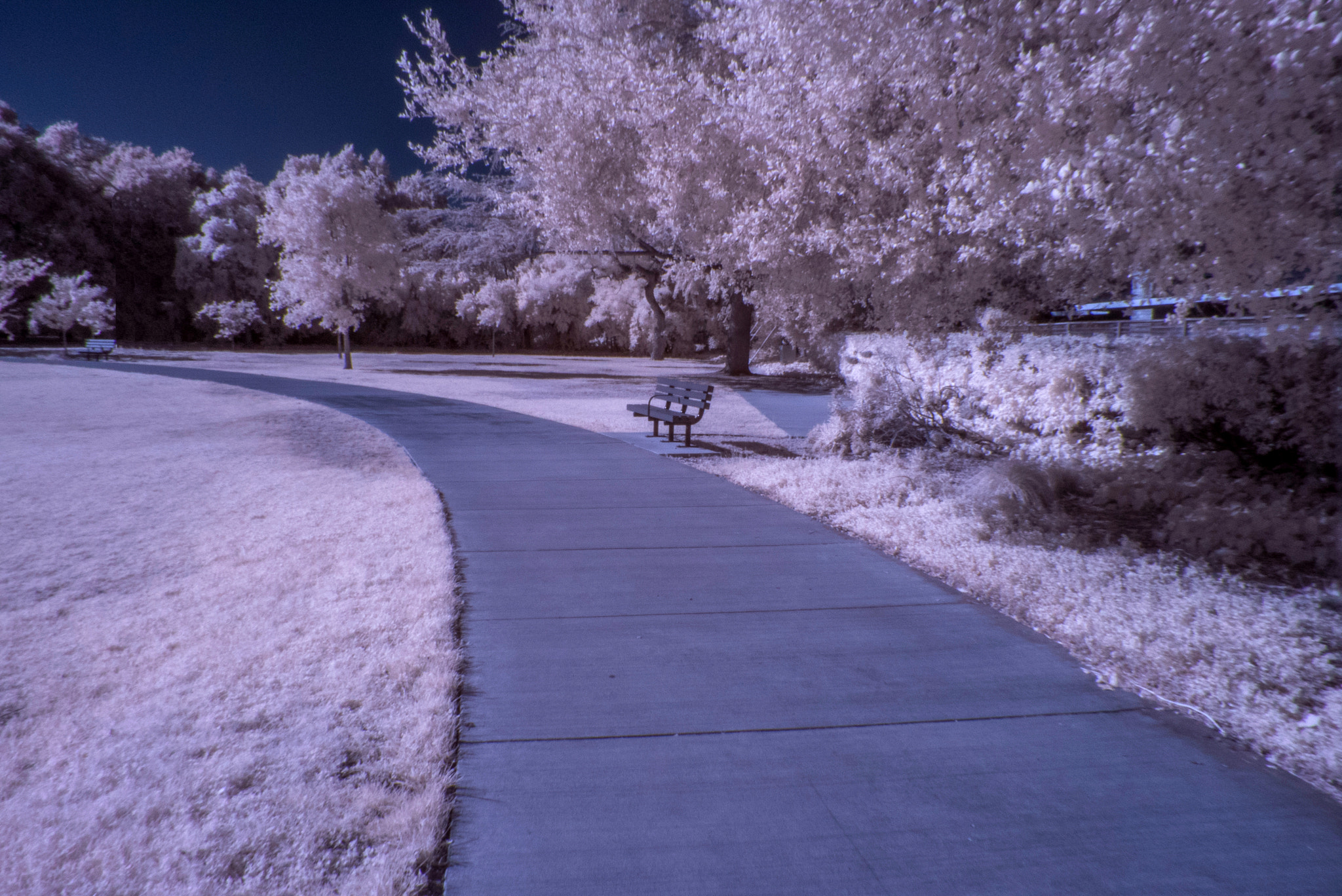 Panasonic Lumix DMC-ZS50 (Lumix DMC-TZ70) sample photo. Infrared park photography