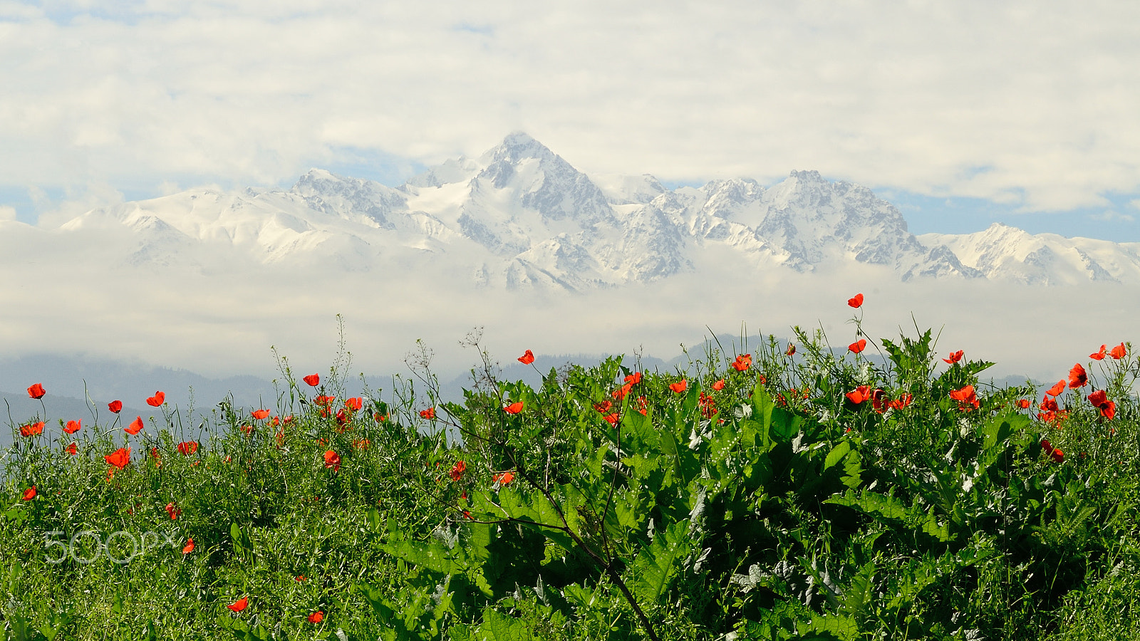 Nikon D5100 sample photo. Ile alatau mountain system.jpg photography