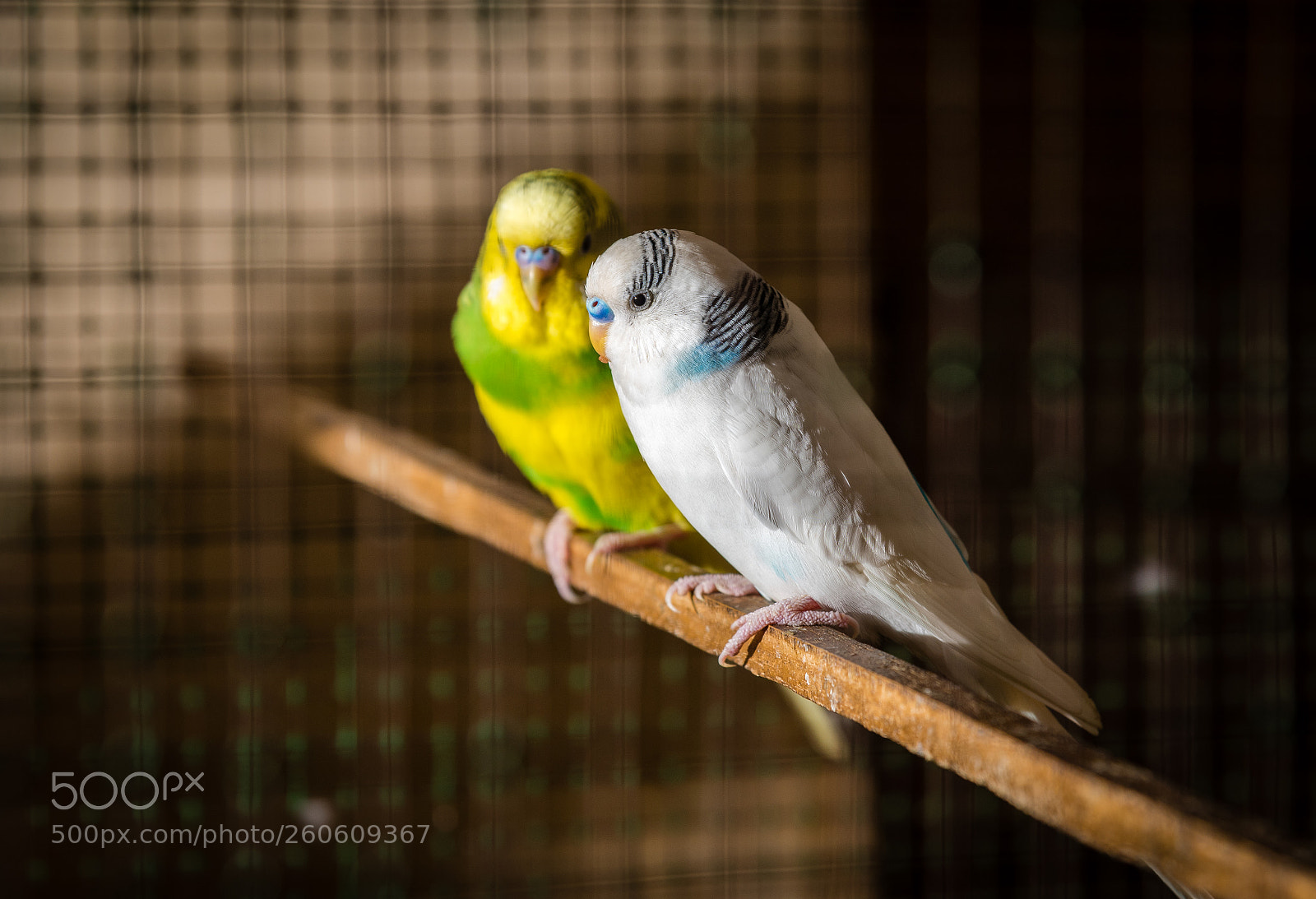 Nikon D750 sample photo. No, dont talk to photography