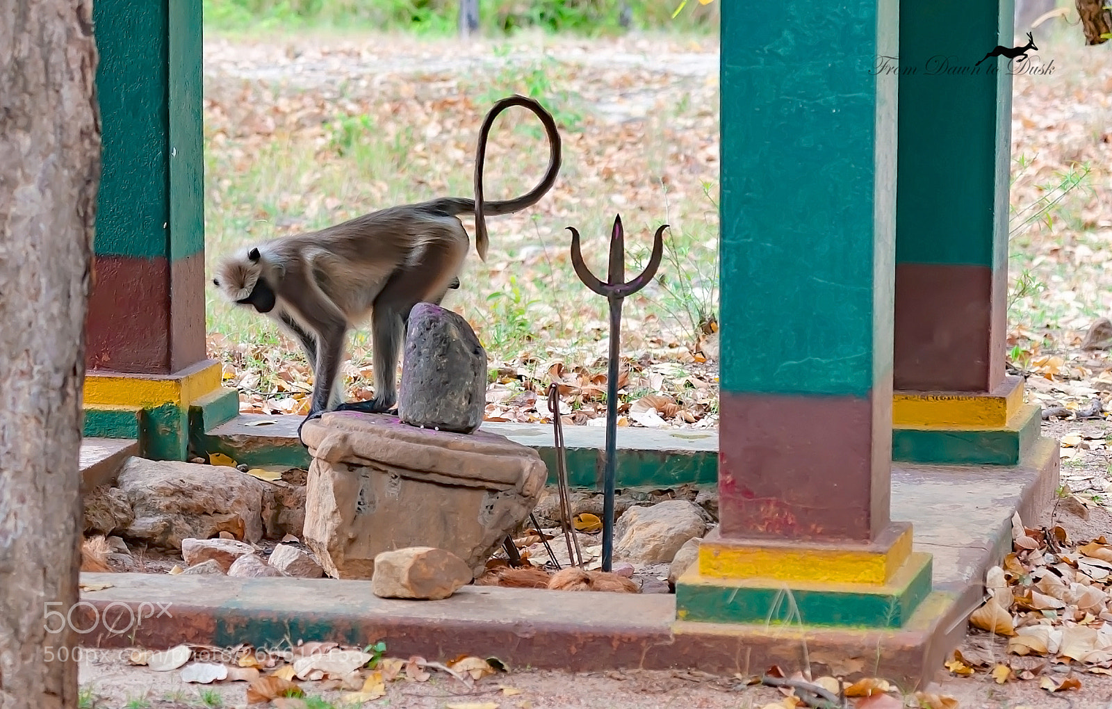 Nikon D90 sample photo. An intriguing moment photography