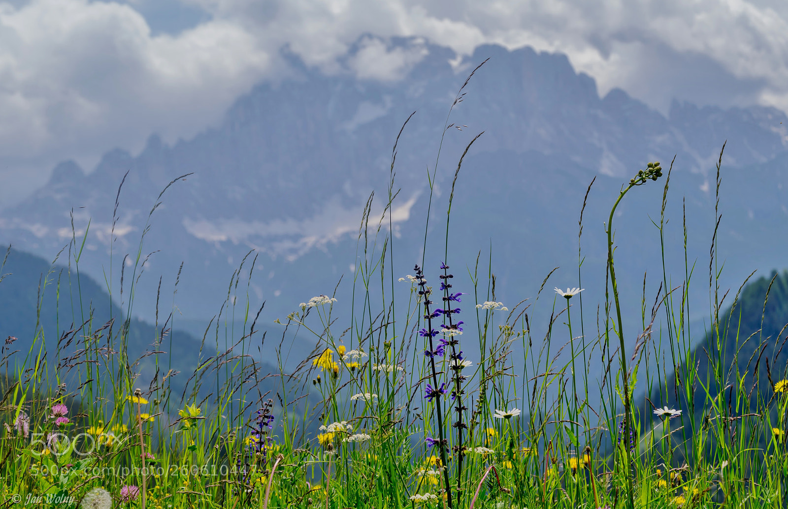 Nikon D3300 sample photo. Colours of spring photography