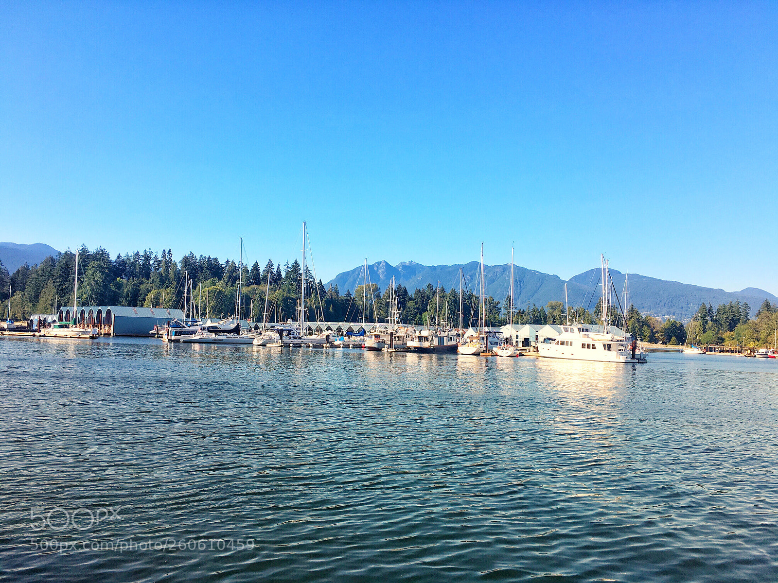 Apple iPhone 6s sample photo. Along the seawall photography
