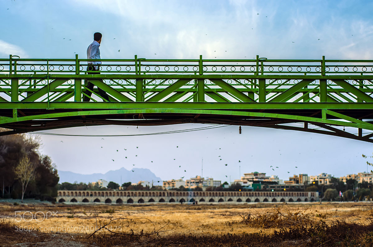 Nikon D7100 sample photo. 2 bridge photography