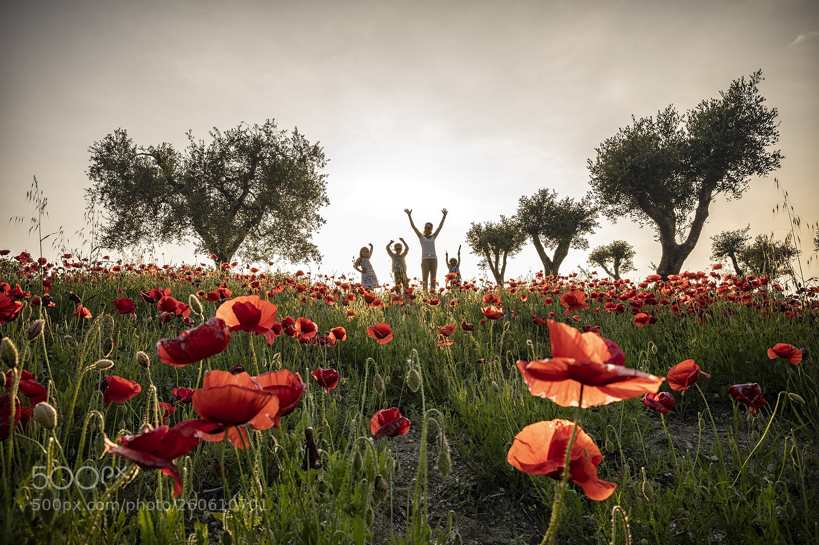 Canon EOS 5D Mark IV sample photo. Tuscany photography