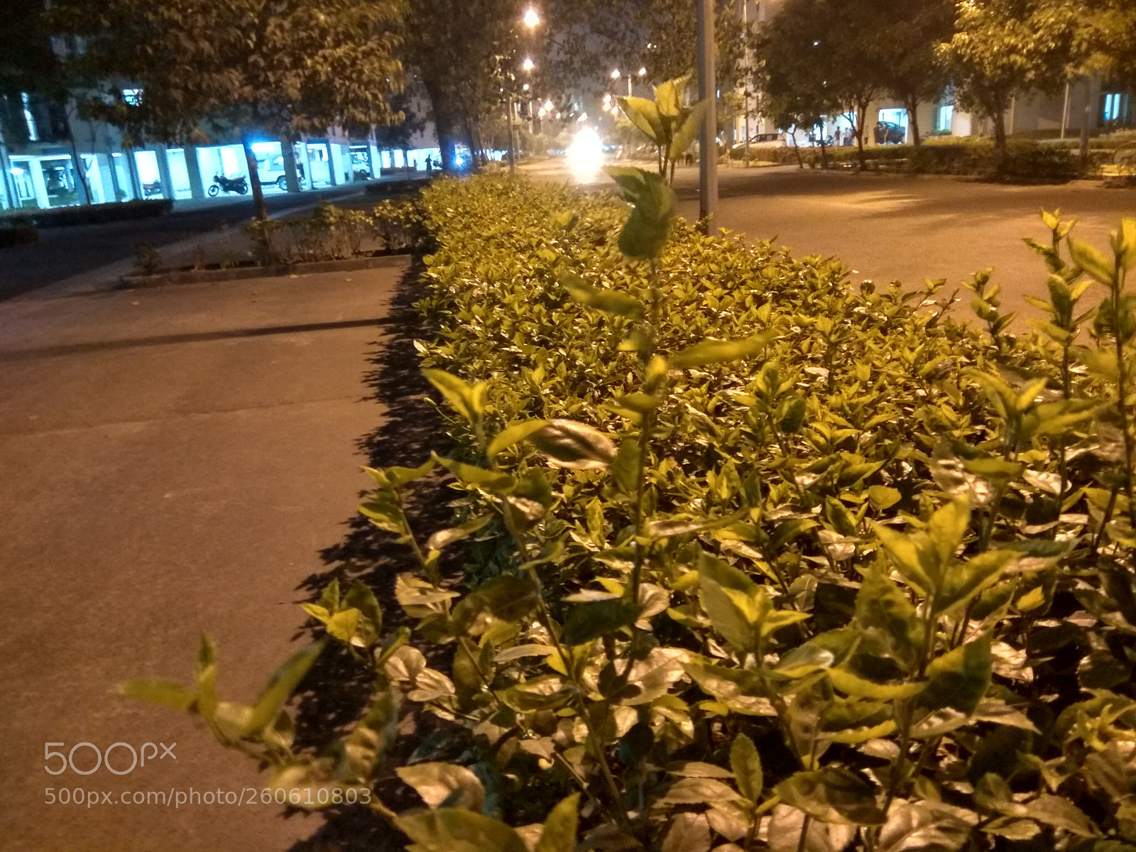 Xiaomi Redmi Note 4 sample photo. Hdr photography