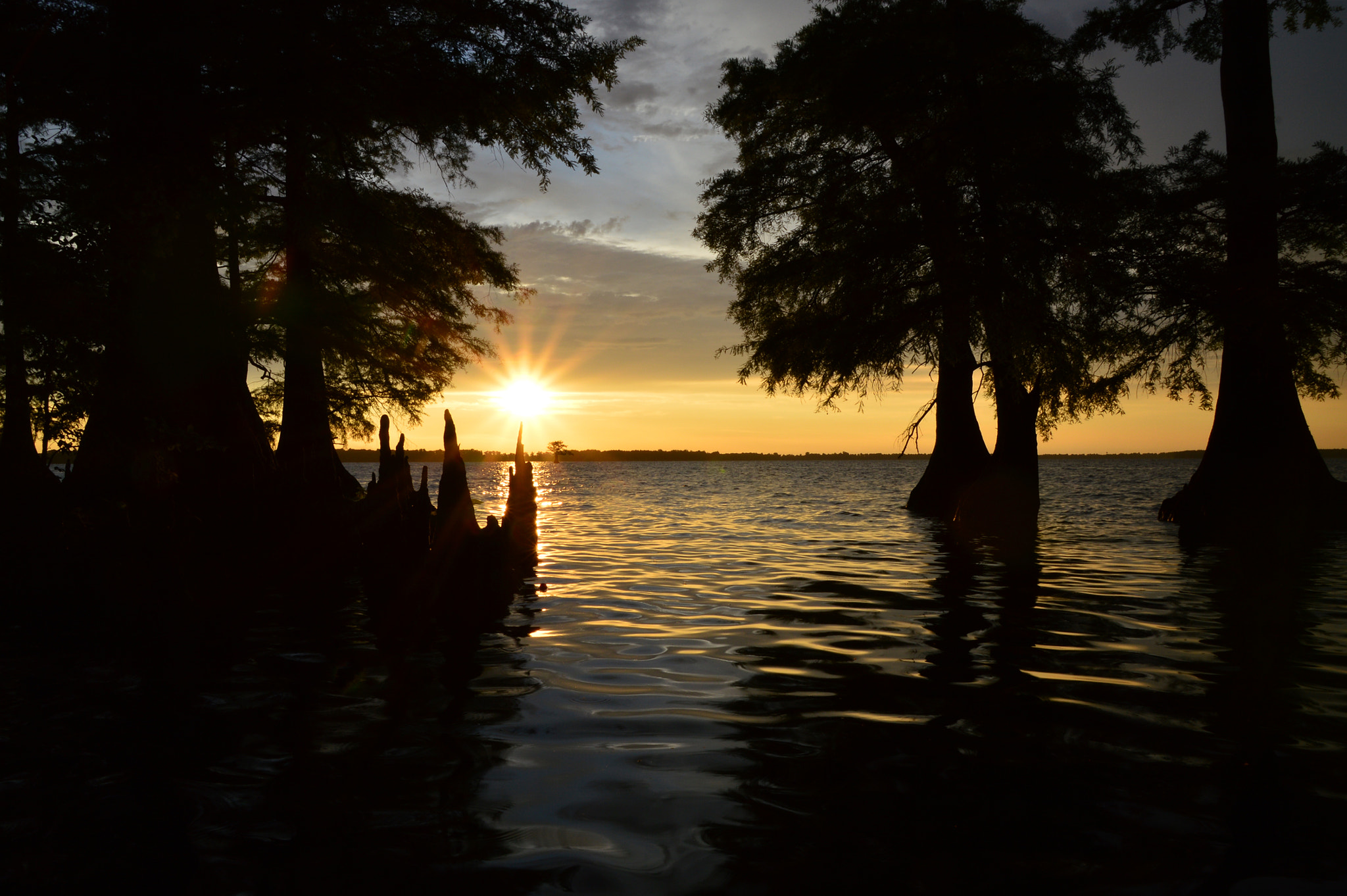Nikon D3200 sample photo. Reelfoot sunset photography