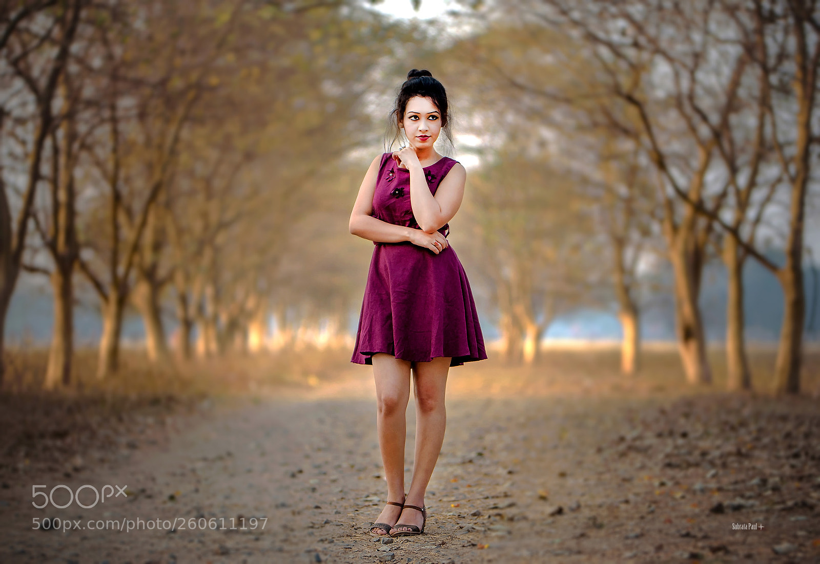Nikon D750 sample photo. Untitled photography