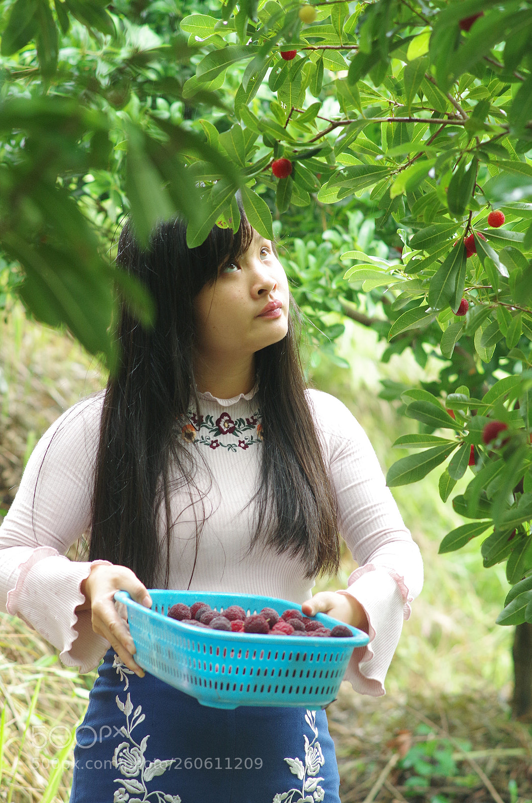 Pentax K-50 sample photo. Yang mei photography
