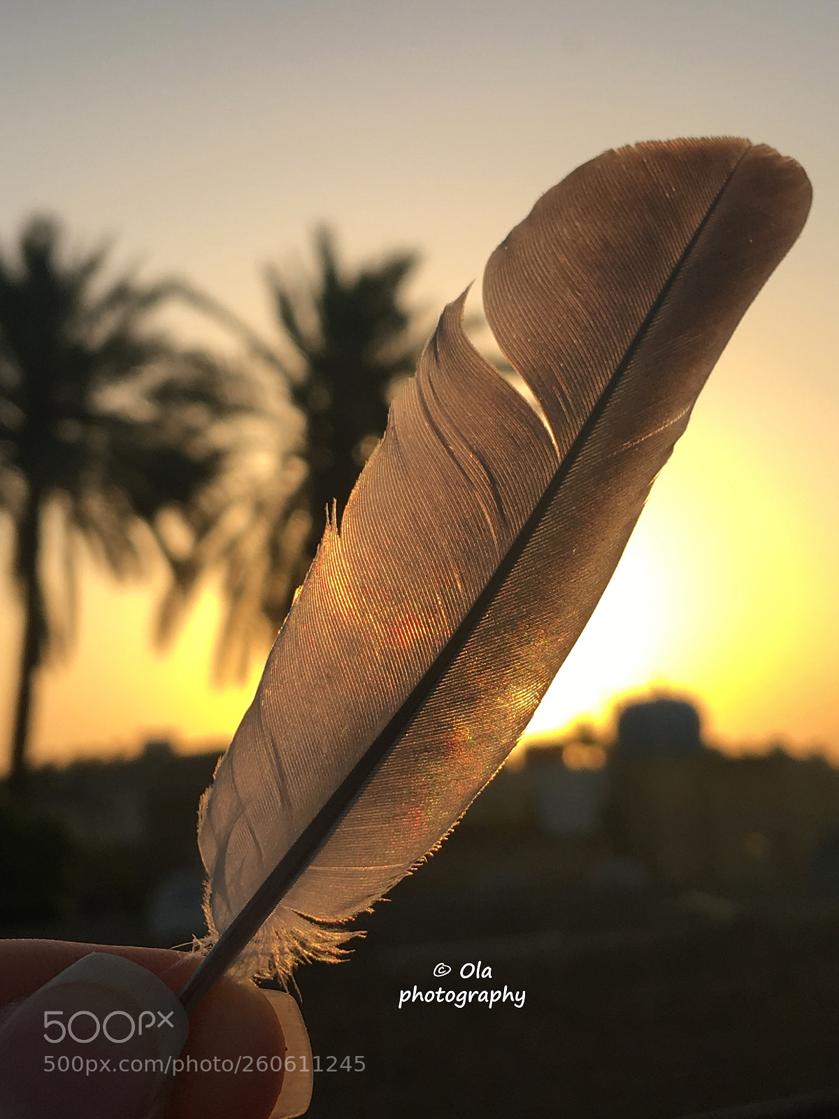 Apple iPhone 6s Plus sample photo. Sunrise photography