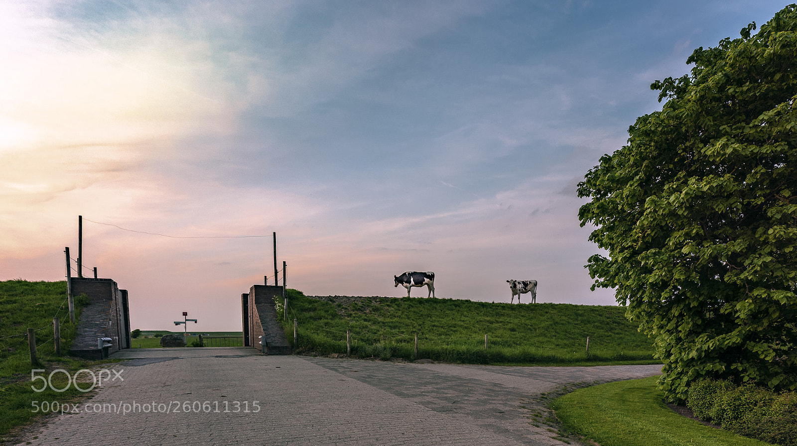 Nikon D810 sample photo. The friesland saga photography