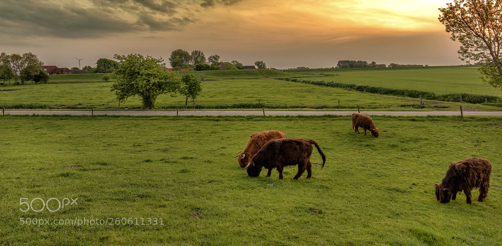 Nikon D810 sample photo. The friesland saga photography
