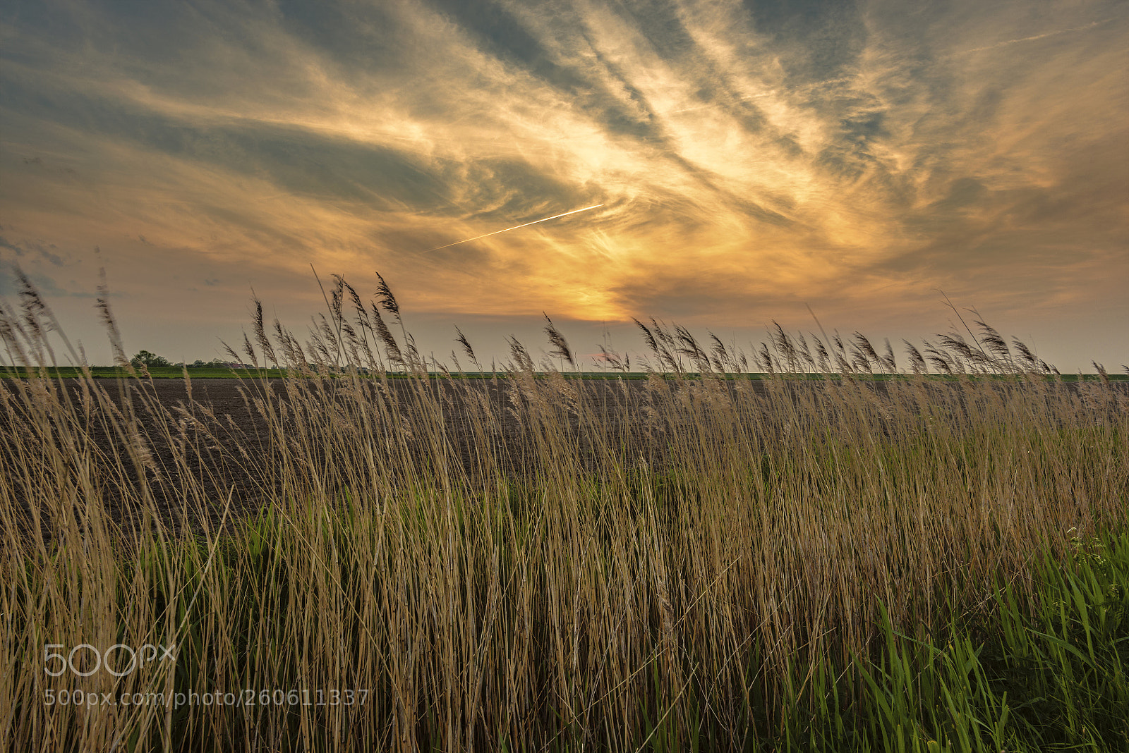 Nikon D810 sample photo. The friesland saga photography
