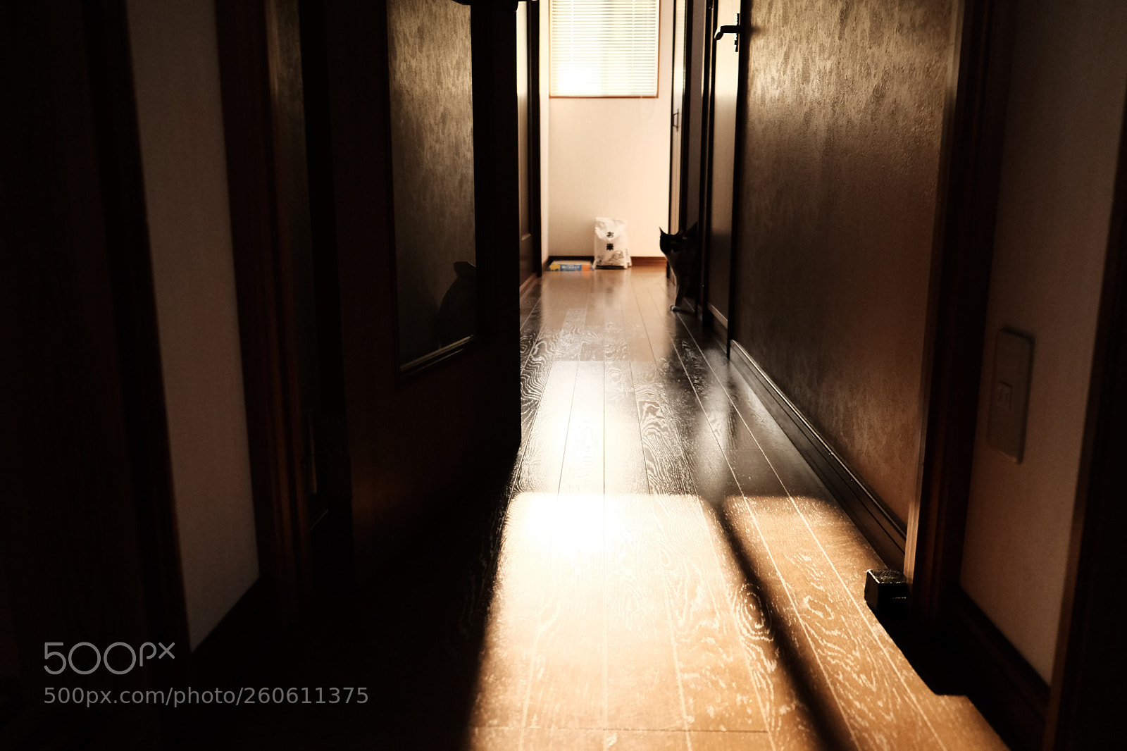 Fujifilm X-H1 sample photo. Untitled photography