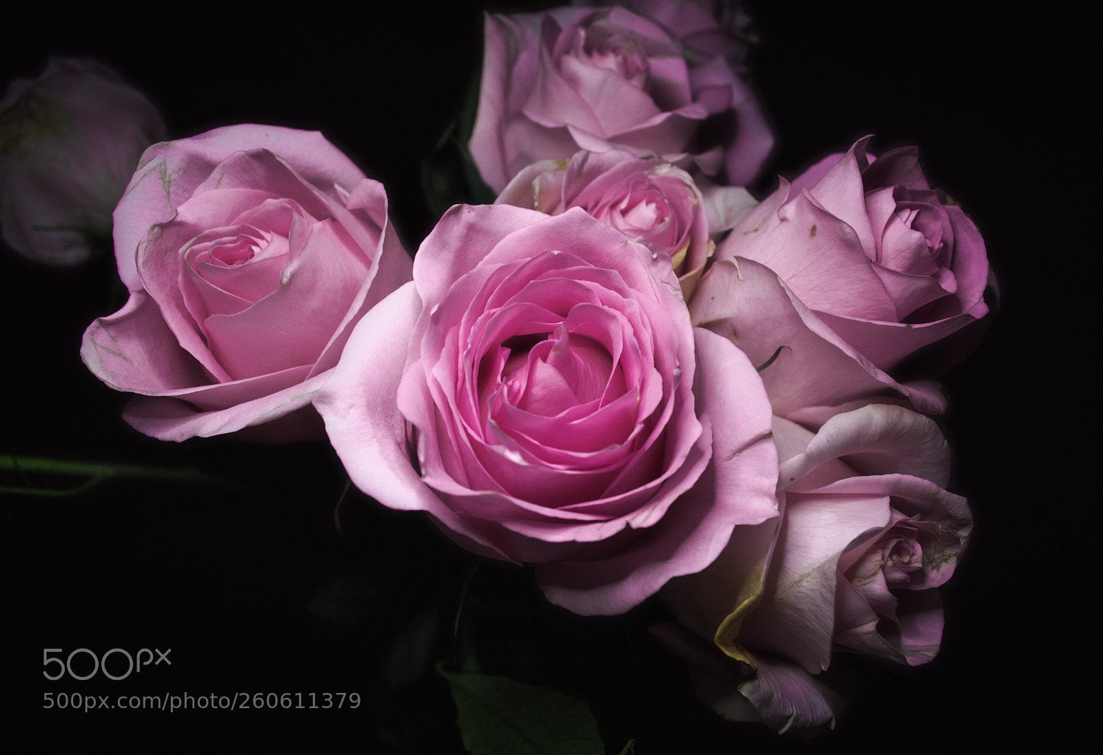 Nikon D3200 sample photo. Night rose bouquet photography