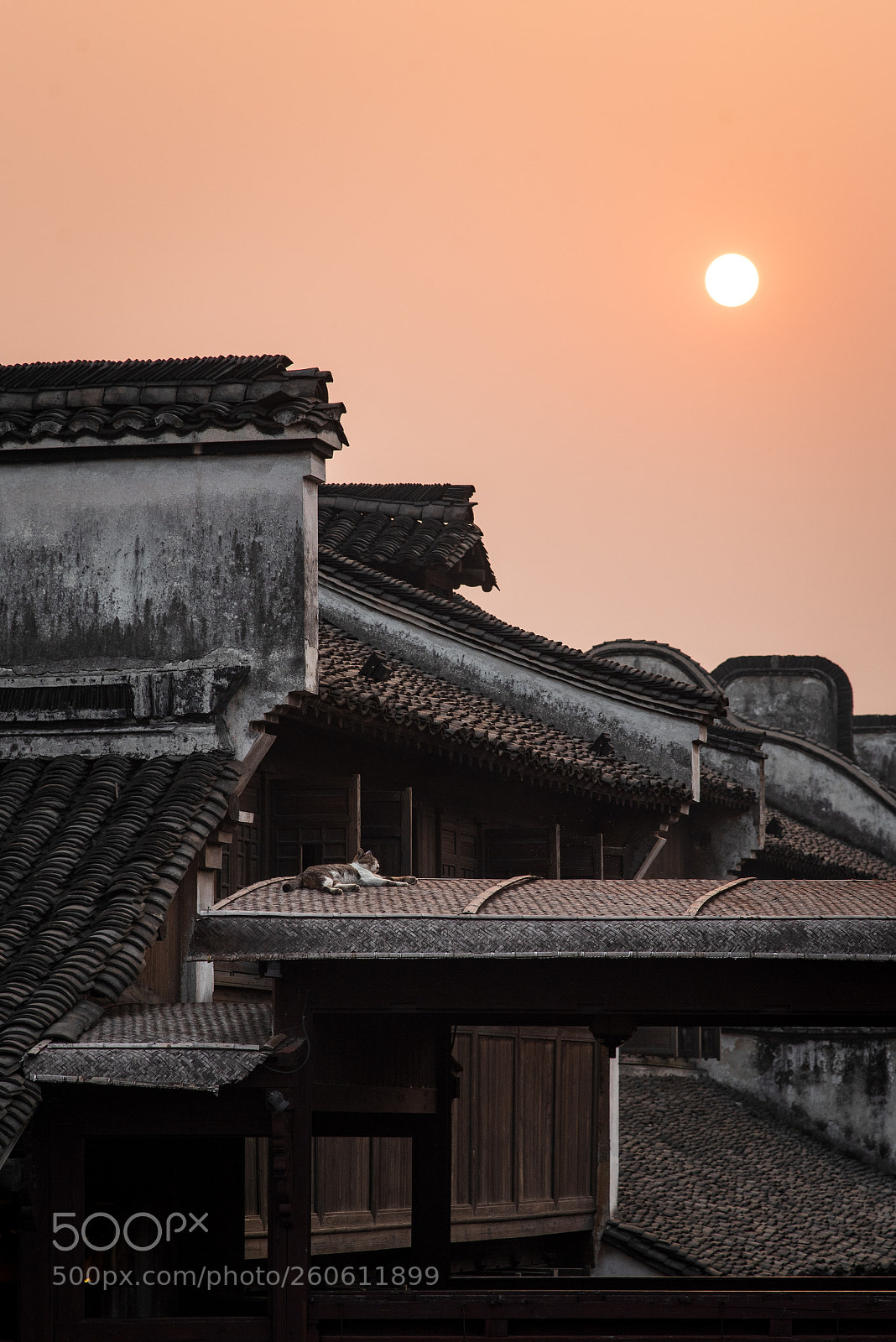 Nikon D750 sample photo. 尚早 photography