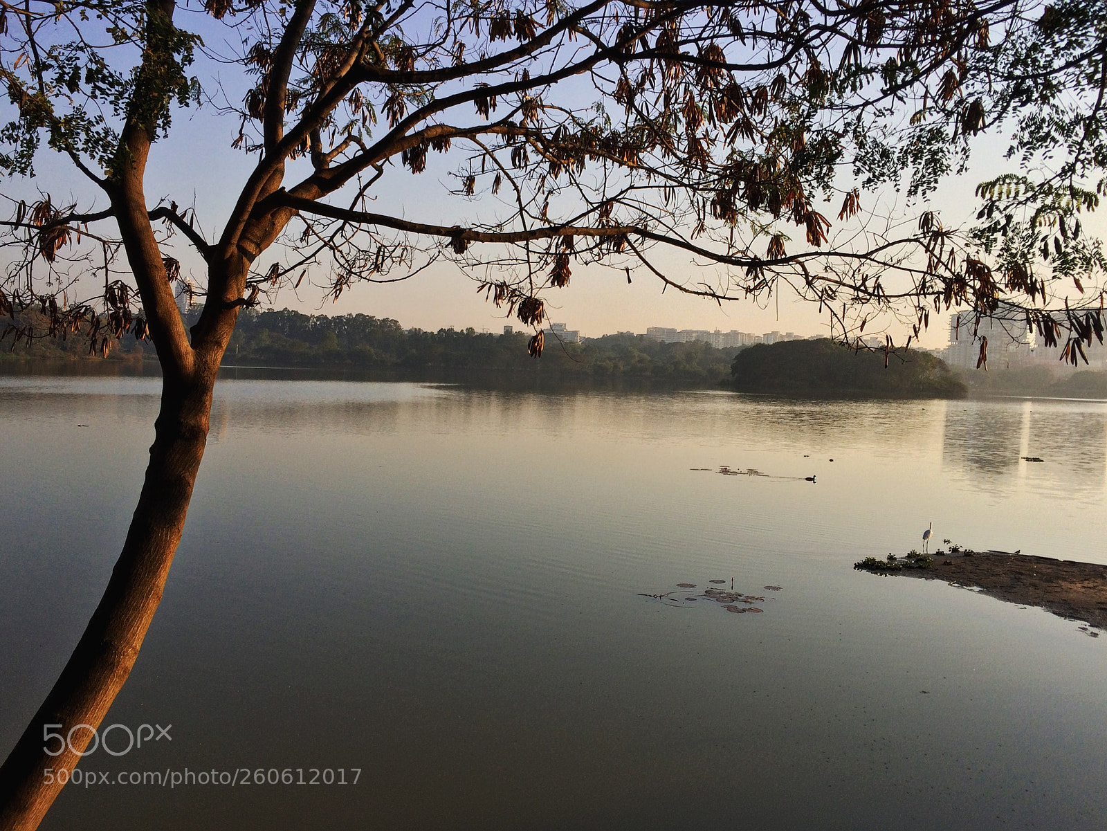 Apple iPhone 5s sample photo. Broze sunrise at hebbal photography