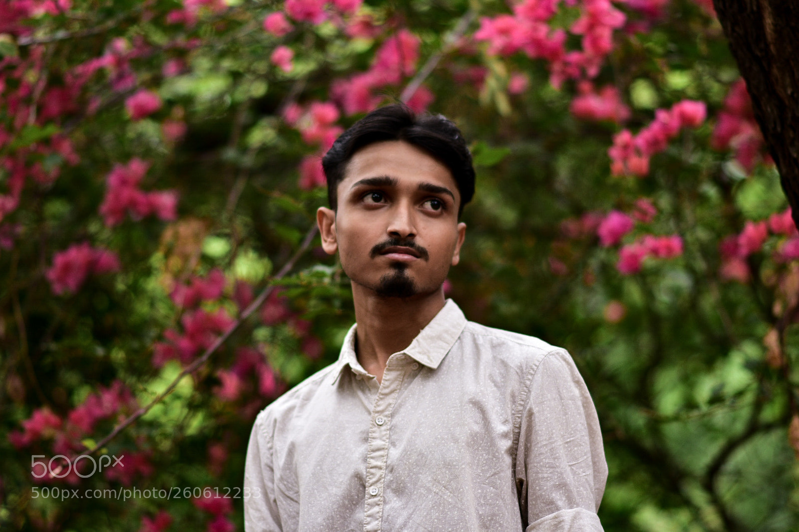 Nikon D3400 sample photo. Flow of colour photography