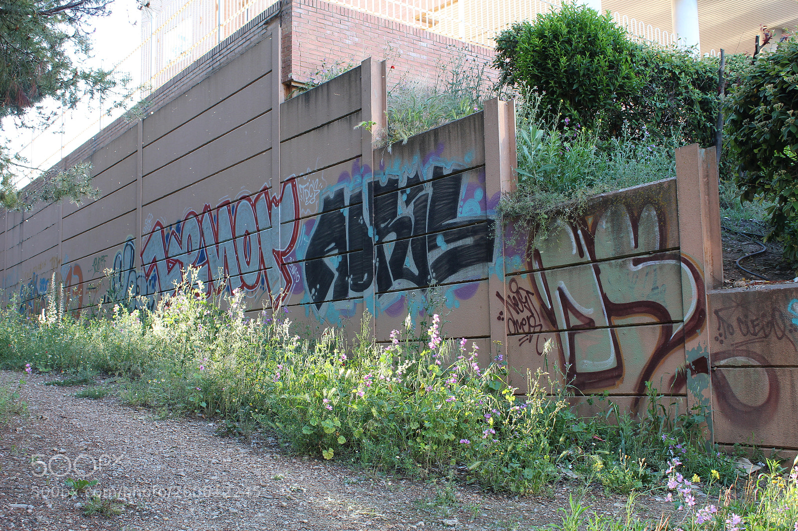 Canon EOS 1300D (EOS Rebel T6 / EOS Kiss X80) sample photo. Grafitis photography