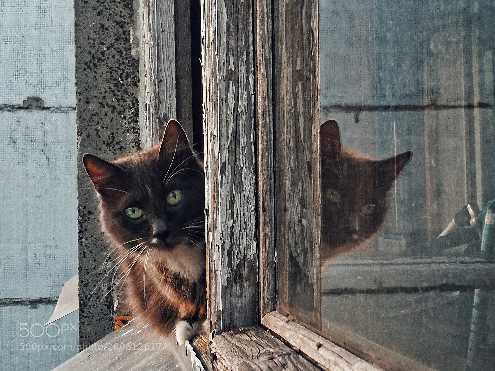 HUAWEI P10 sample photo. Hello photography