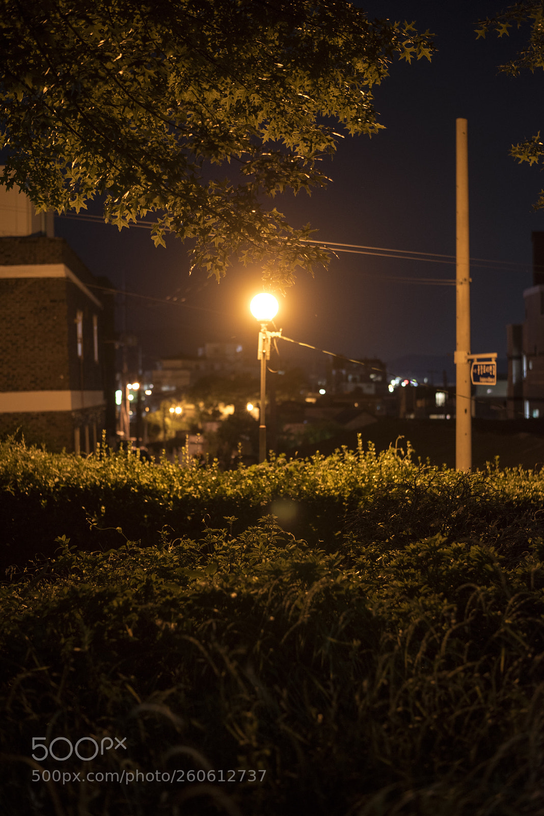 Nikon D810 sample photo. In a town  no.39 photography