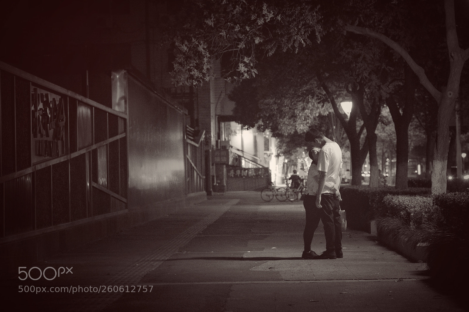 Sony a7R II sample photo. Untitled photography